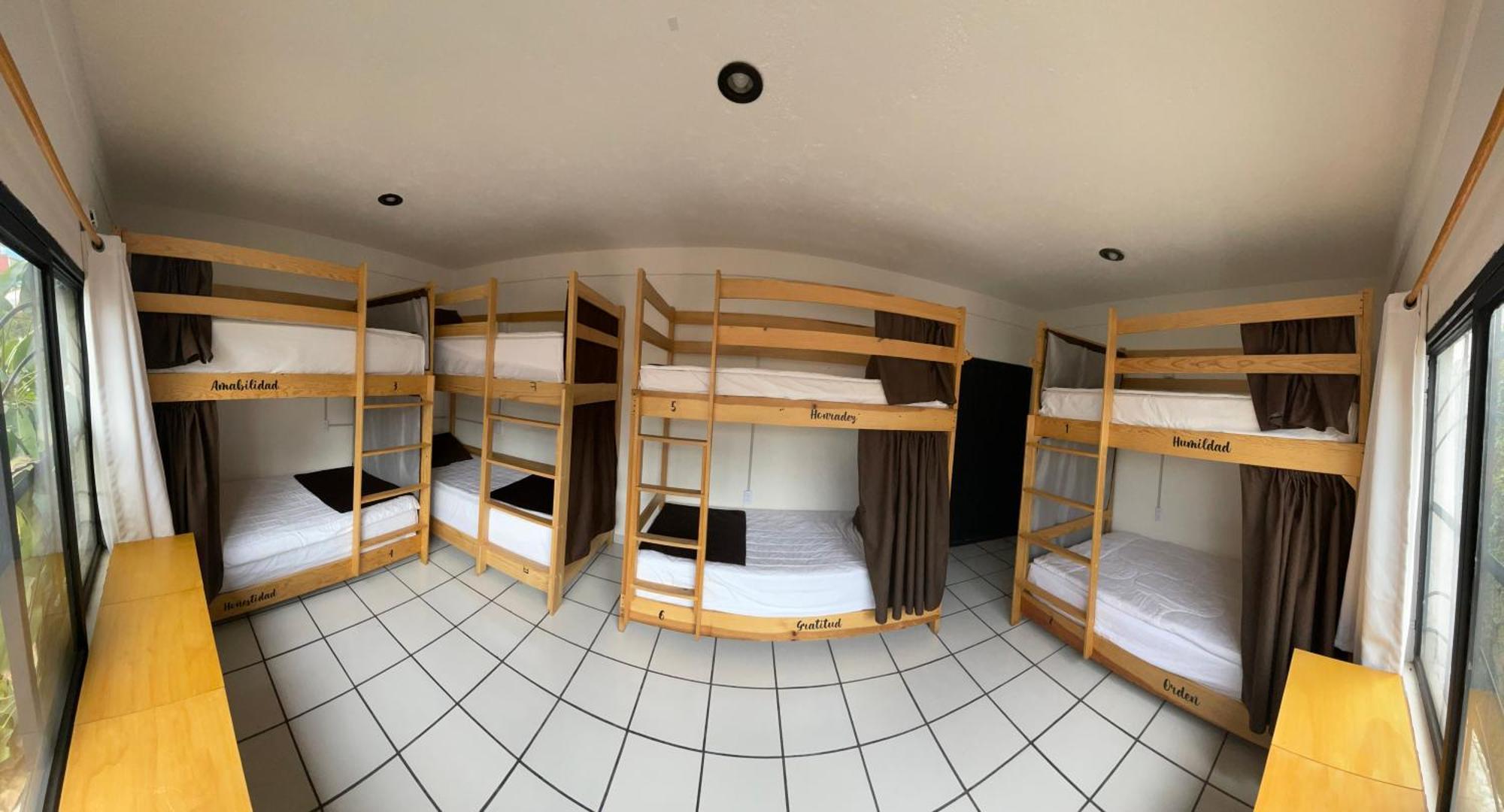 Hostal Roma Condesa Mexikóváros Kültér fotó