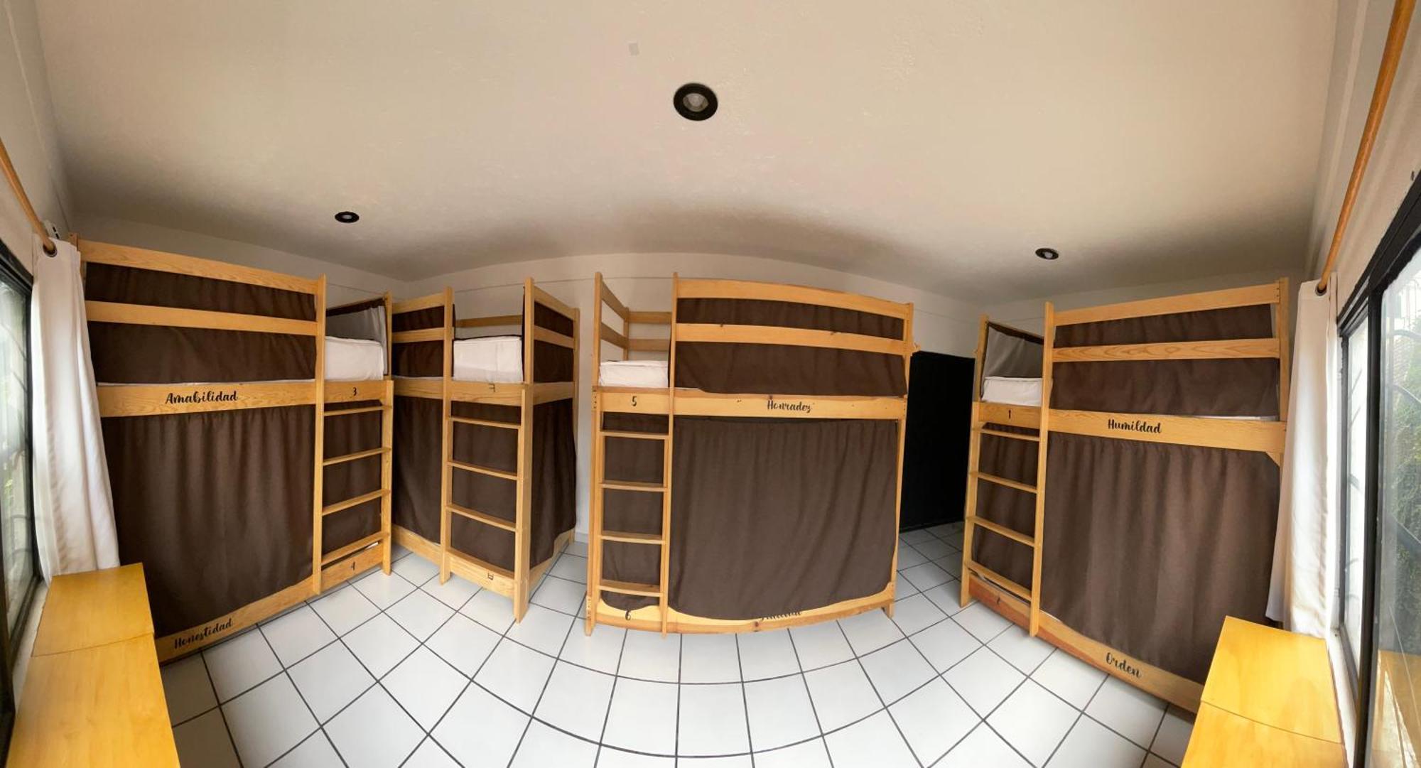 Hostal Roma Condesa Mexikóváros Kültér fotó